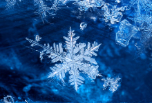 Winter Newsletter