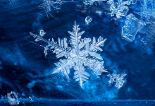 2024-25 Winter Newsletter